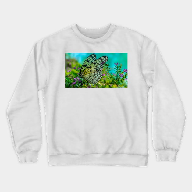 butterfly Crewneck Sweatshirt by likbatonboot